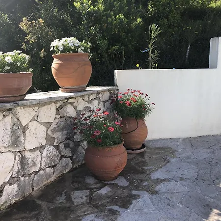Noogony Lefkada Villa *